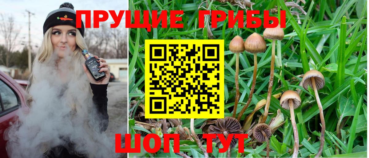 Ижевск  Галлюциногенные грибы Magic Shrooms  дарнет шоп  Вход с VPN 